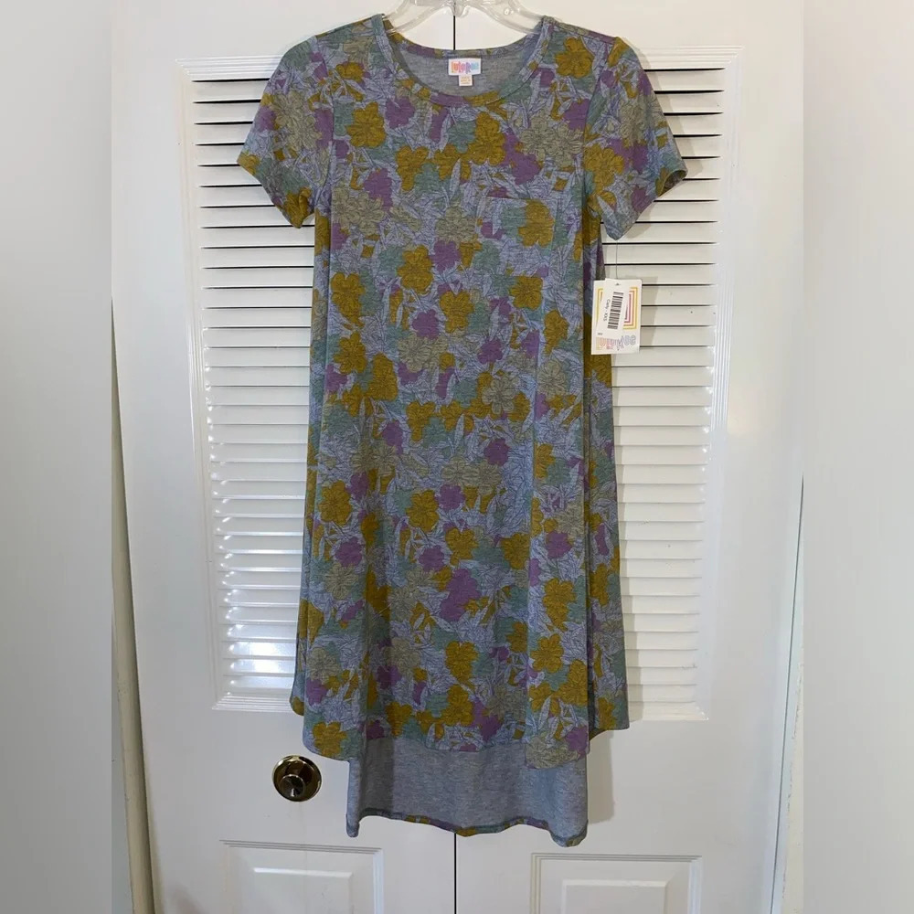 LuLaRoe Carly Rose print dress